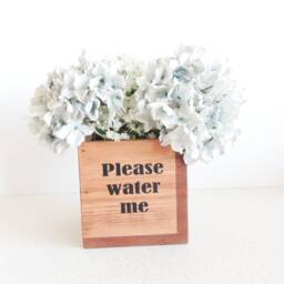 "Rustic Wooden Succulent Planter ""Please Water Me" - thumbnail 2