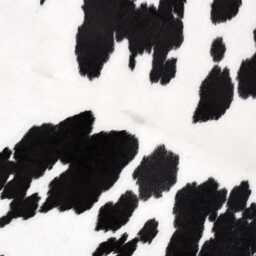 Chic Large Cowhide Rug - Black & White Hair-On Leather For Sophisticated Spaces - 54x54 Inches - thumbnail 3