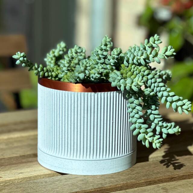 Ribbed Marble White Plant Pot With Bronze Accent Modern Planter Drainage - image 1