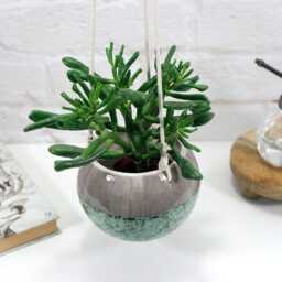 Handmade Ceramic Hanging Planter With Speckled Green Patterns - Wall Rustic Decor Indoor Outdoor Use Garden - thumbnail 2