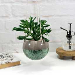Handmade Ceramic Hanging Planter With Speckled Green Patterns - Wall Rustic Decor Indoor Outdoor Use Garden - thumbnail 4