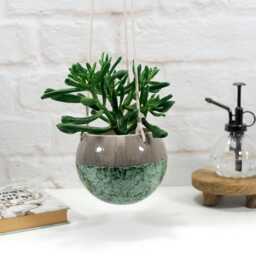 Handmade Ceramic Hanging Planter With Speckled Green Patterns - Wall Rustic Decor Indoor Outdoor Use Garden - thumbnail 3