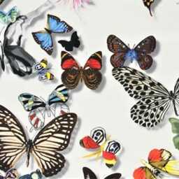 Christian Lacroix Butterfly Parade Cushion Cover Light Grey Cotton Throw Pillow - thumbnail 3
