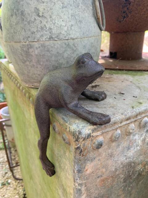 Cast Iron Frog Toad - image 1