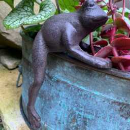 Cast Iron Frog Toad - thumbnail 2