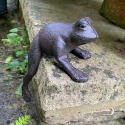 Cast Iron Frog Toad - thumbnail 3
