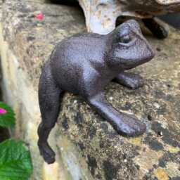 Cast Iron Frog Toad - thumbnail 4