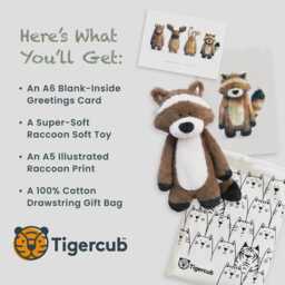 Raccoon Baby Gift Set - Woodland Soft Toy, Print, Bag, Card - thumbnail 3