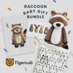 Raccoon Baby Gift Set - Woodland Soft Toy, Print, Bag, Card