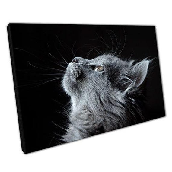 Adorable Grey Kitten Canvas Wall Art Ready-To-Hang Decor For Home & Office - Fluffy Cat Portrait - image 1