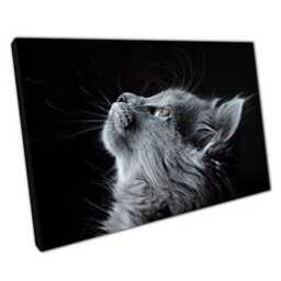 Adorable Grey Kitten Canvas Wall Art Ready-To-Hang Decor For Home & Office - Fluffy Cat Portrait - thumbnail 1