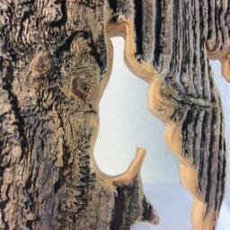 Trumpeting Angel - thumbnail 4