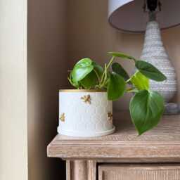 Honeycomb Bee Pot With Drainage Saucer Hand-Painted Indoor Planter - thumbnail 3