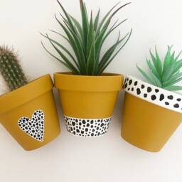 Hand Painted Mustard Yellow Heart Dalmatian Print Terracotta Plant Pot Set, 9cm Pot, Decor Accessories Garden Gift - thumbnail 2