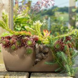 Charming Three-Toed Sloth Pot Buddy Hanger - Whimsical Garden Decor - thumbnail 3