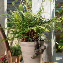 Charming Three-Toed Sloth Pot Buddy Hanger - Whimsical Garden Decor - thumbnail 2