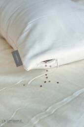 Buckwheat Pillow Adjustable Fill Gots Cotton Cover Firm Support Usa Made
