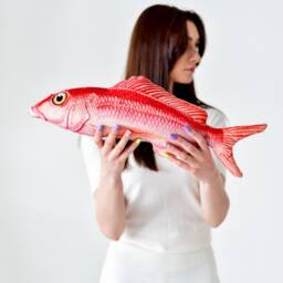Fish Decor For Coastal House Decor, Red Snapper Fish Pillow Stuffed Toy Gift Fisherman, Fishing Gifts Man Or Dad From Daughter - thumbnail 2