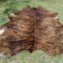Brindle Brown Large New Cowhide Rug Natural Hair On - 6x6 Ft Size Approx Tri-Color Chocolate Tones Soft Carpet Cow Hide R-R N - thumbnail 2