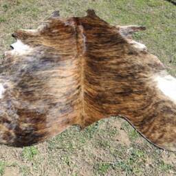 Brindle Brown Large New Cowhide Rug Natural Hair On - 6x6 Ft Size Approx Tri-Color Chocolate Tones Soft Carpet Cow Hide R-R N - thumbnail 4
