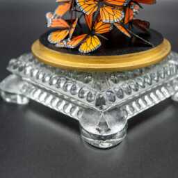 Handmade Monarch Butterfly Swarm in A Glass Cloche With Vintage Base - thumbnail 4