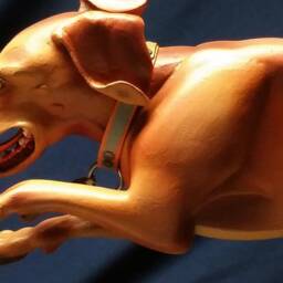 Our Beloved Moose-Man - A Memorial To A Loved Pet For Amy & Scott - thumbnail 3