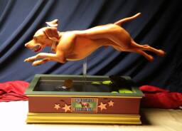 Our Beloved Moose-Man - A Memorial To A Loved Pet For Amy & Scott - thumbnail 1