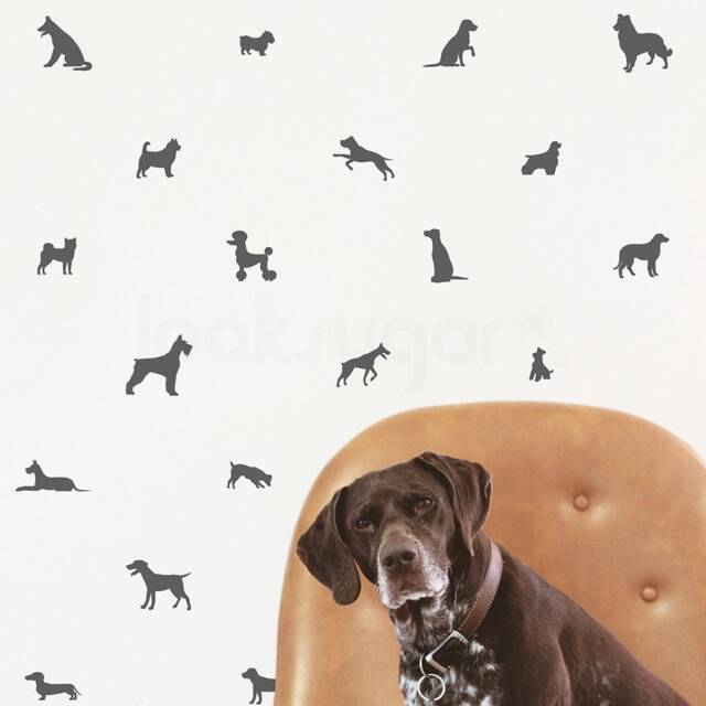 Puppy Dog Decal . Wall Stickers Doggie Decals Pattern - Removable For Pet Spaces Lswp-Ap0066Nf - image 1
