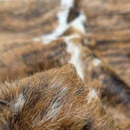 xl Brindle Brown Cowhide Amazing Rug Unique Peau De Vache. Cow Skin Hide - thumbnail 3