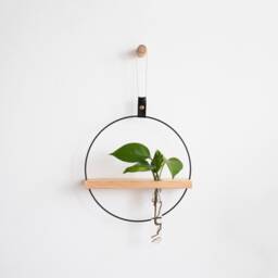 Plant Propagation Wall Hanging, Station Test Tube Holder, Planter, Shelf