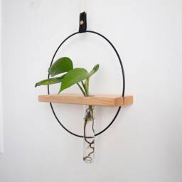 Plant Propagation Wall Hanging, Station Test Tube Holder, Planter, Shelf - thumbnail 4