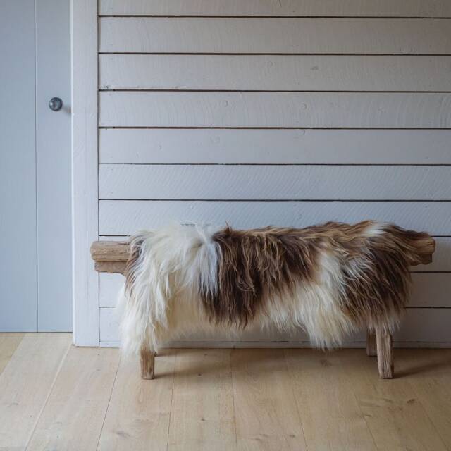 Rare Breed Spotted Icelandic Sheepskin Rug - image 1