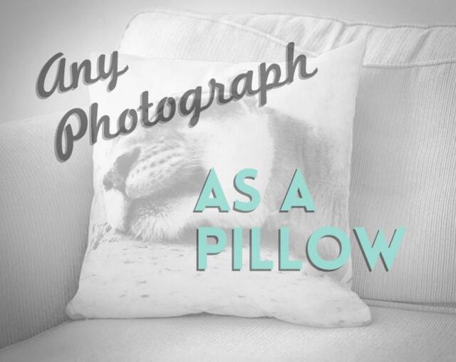 Custom Gift - Any Photograph As A Pillow Pillow Cute Personalized 20x20 Cover Customized Decor - image 1