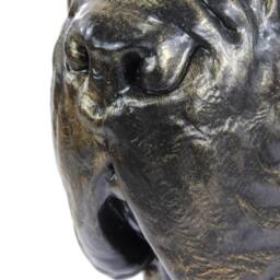 Mastino Neapolitano - Cropped, Dog Big Head Statue, Limited Edition, Artdog - thumbnail 4