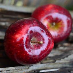 Apple Spice Fall Candle, All-Natural Soy Candle With Essential Oil Fragrances Cinnamon Winter Warmer - thumbnail 3