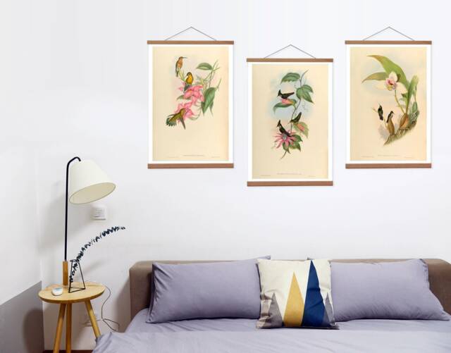 Hummingbird Canvas Print Set Of 3, Antique Bird Art With Oak Hangers - image 1