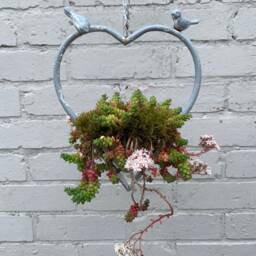 Heart Bird Feeder/Planter - thumbnail 4