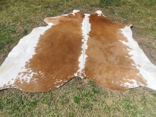 Hereford Brown Large New Cowhide Rug Natural Hair On - 6x6 Ft Size Approx Tricolor Brown Tones Soft Carpet Cow Hide W-H B - image 1