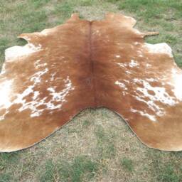 Hereford Brown Large New Cowhide Rug Natural Hair On - 6x6 Ft Size Approx Tricolor Brown Tones Soft Carpet Cow Hide W-H B - thumbnail 3