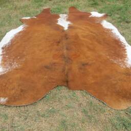 Hereford Brown Large New Cowhide Rug Natural Hair On - 6x6 Ft Size Approx Tricolor Brown Tones Soft Carpet Cow Hide W-H B - thumbnail 2