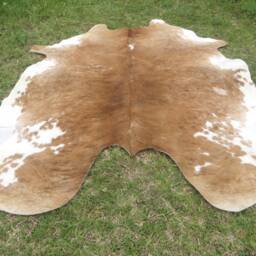 Hereford Brown Large New Cowhide Rug Natural Hair On - 6x6 Ft Size Approx Tricolor Brown Tones Soft Carpet Cow Hide W-H B - thumbnail 4