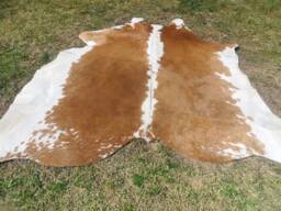 Hereford Brown Large New Cowhide Rug Natural Hair On - 6x6 Ft Size Approx Tricolor Brown Tones Soft Carpet Cow Hide W-H B - thumbnail 1