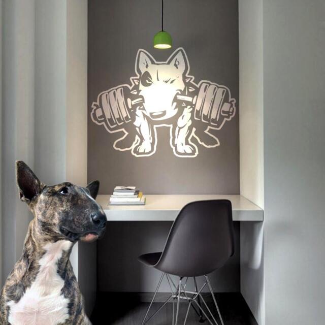 Bull Terrier Fitness Vinyl Decal Dog Wall Art - image 1