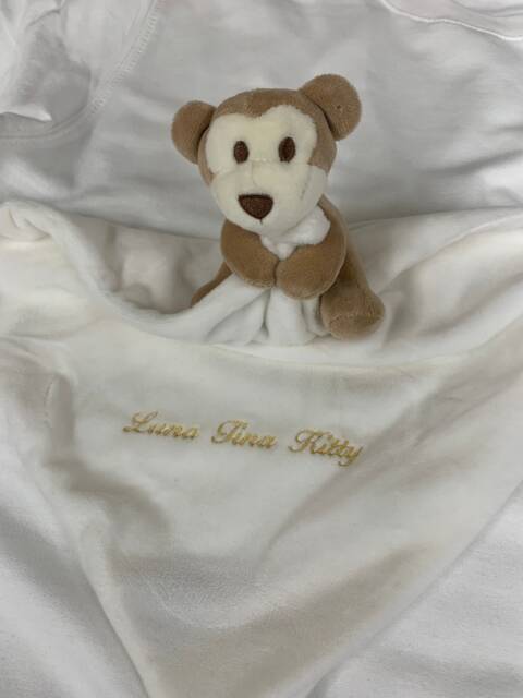 Embroidered Plush Baby Comforter Personalized Monkey Gift - image 1
