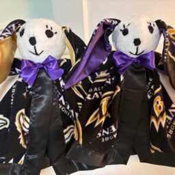 Baltimore Ravens - thumbnail 4