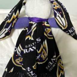 Baltimore Ravens - thumbnail 3