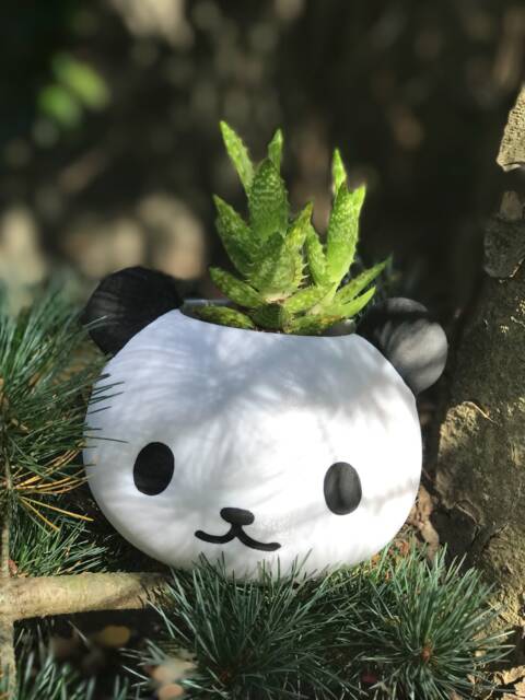 Panda Planter, Gifts, Pot, Papa Bear, Decor, Bear Planter Garden, Office Decor For Women - image 1