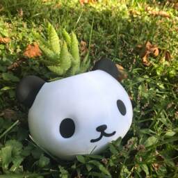 Panda Planter, Gifts, Pot, Papa Bear, Decor, Bear Planter Garden, Office Decor For Women - thumbnail 2