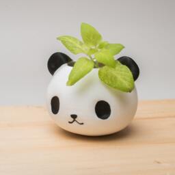Panda Planter, Gifts, Pot, Papa Bear, Decor, Bear Planter Garden, Office Decor For Women - thumbnail 3
