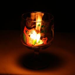 "Cute Owls. " - thumbnail 3